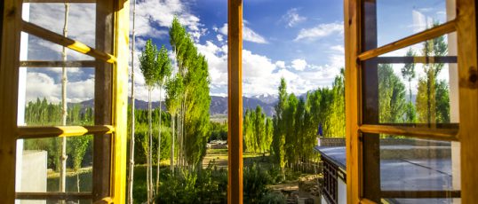 View from the window on the landscape.